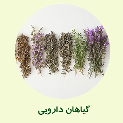 گیاهان دارویی