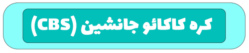 کره کامائو جانشین CBS