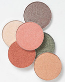 مجموعه کامل 27 عددی پودر رنگ صدفی میکا گلابشن