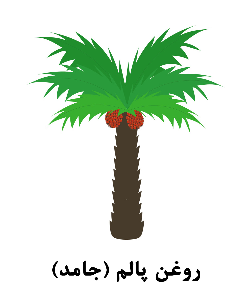 روغن پالم جامد گلابشن - یک کیلوگرم