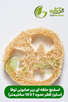 اسفنج گیاهی لوفا یا گیاه لیف جهت تولید محصولات اسکراب و اسفنج ظرفشویی