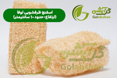 اسفنج گیاهی لوفا یا گیاه لیف جهت تولید محصولات اسکراب و اسفنج ظرفشویی