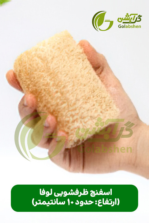 اسفنج گیاهی لوفا یا گیاه لیف جهت تولید محصولات اسکراب و اسفنج ظرفشویی