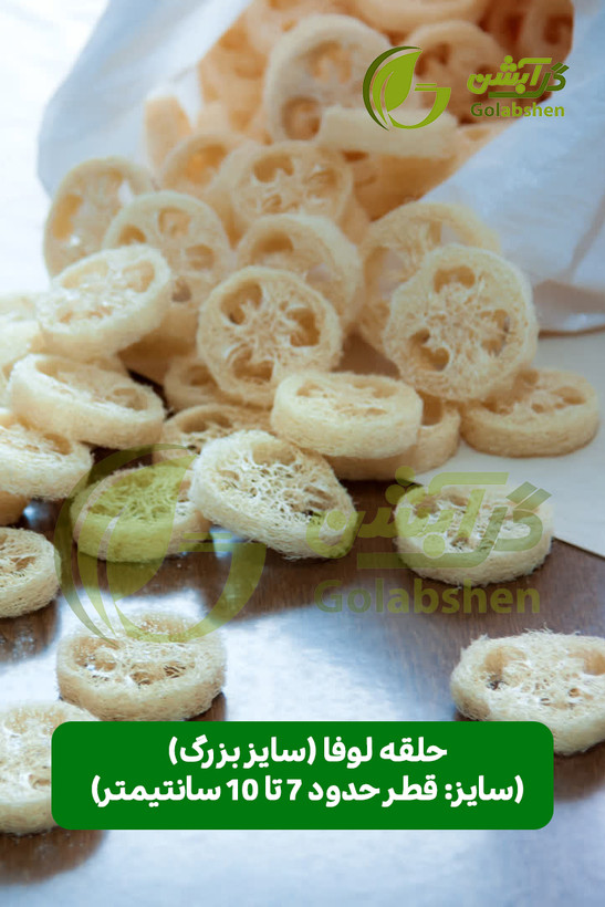 اسفنج گیاهی لوفا یا گیاه لیف جهت تولید محصولات اسکراب و اسفنج ظرفشویی