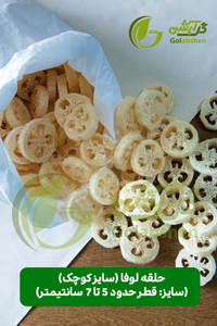 اسفنج گیاهی لوفا یا گیاه لیف جهت تولید محصولات اسکراب و اسفنج ظرفشویی