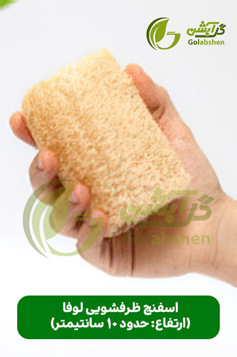 اسفنج گیاهی لوفا یا گیاه لیف جهت تولید محصولات اسکراب و اسفنج ظرفشویی