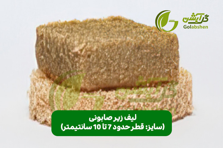 اسفنج گیاهی لوفا یا گیاه لیف جهت تولید محصولات اسکراب و اسفنج ظرفشویی