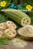 اسفنج گیاهی لوفا یا گیاه لیف جهت تولید محصولات اسکراب و اسفنج ظرفشویی